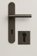 BE 221 - Edelstahl Beschlag, für Profilzylinder