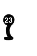 GEKO, 3 Stück (3 pièce)