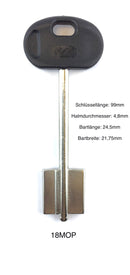 Doppelbart-Pumpenschlüssel