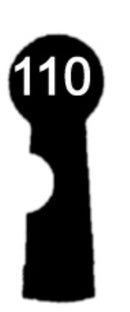 EWG Schlüssel zu EWG-Schlössern, 3 Stück (3 pièce)