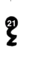 GEKO, 3 Stück (3 pièce)