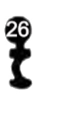 EN Esa-Normal, 3 Stück (3 pièce)