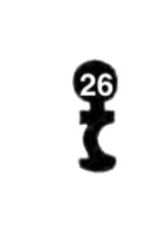 GEKO, 3 Stück (3 pièce)