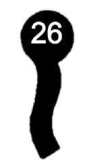 F 95 Chubb-Schlüssel, 3 Stück (3 pièce)