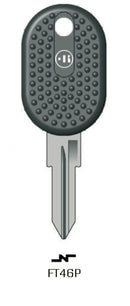 FT46P (GT6RFP, FI-6IP1, FAK1P)  GIOBERT