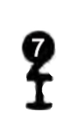 EN Esa-Normal, 3 Stück (3 pièce)