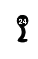 GEKO, 3 Stück (3 pièce)