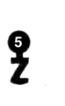 GEKO, 3 Stück (3 pièce)