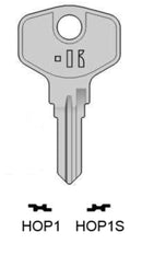 HOP1 (HPP1R, BUR-10D, 1806 ) 10 STÜCK / 10 PIÈCES