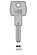 AGB1 (AGB1, AGB-2) AGB